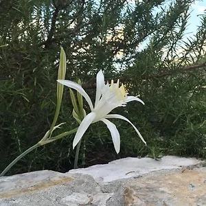 Ca' Di Bianca Монелья